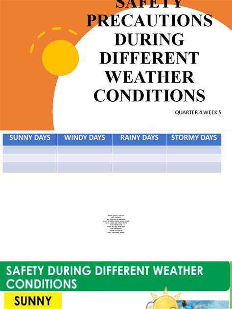 AdditionalSafetyPrecautionsforAllWeatherConditions