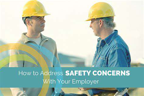 AddressingSafetyConcerns:DemonstratingRobustness