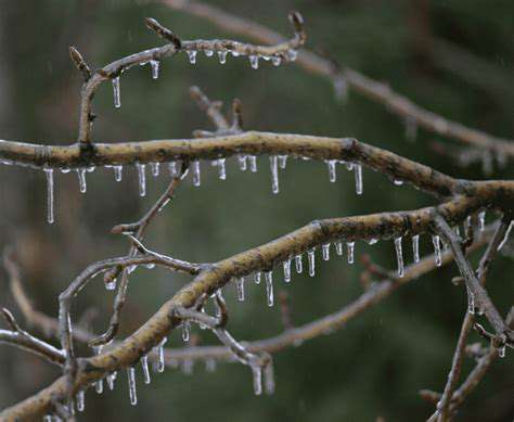 AssessingtheConditions:RecognizingFreezingRain