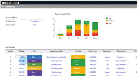 IdentifyingtheDamage:TypesofDashboardIssues