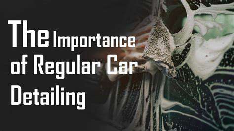 Car Exterior Detailing: Bringing Back the Shine