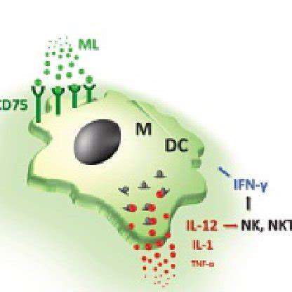 EnhancingT-CellFunctionwithGeneEditing