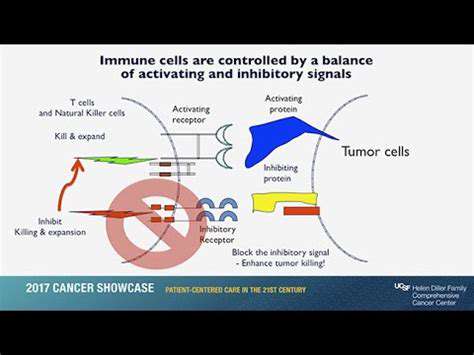 Immunotherapy:UnleashingtheBody'sNaturalDefenseSystem