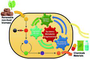Biotechnology for Sustainable Chemistry