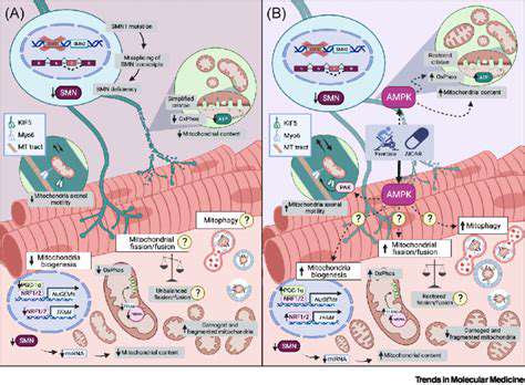 Gene Editing for Spinal Muscular Atrophy