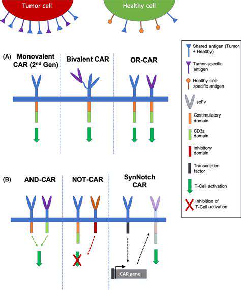 EngineeringChimericAntigenReceptors(CARs)withEnhancedEfficacy
